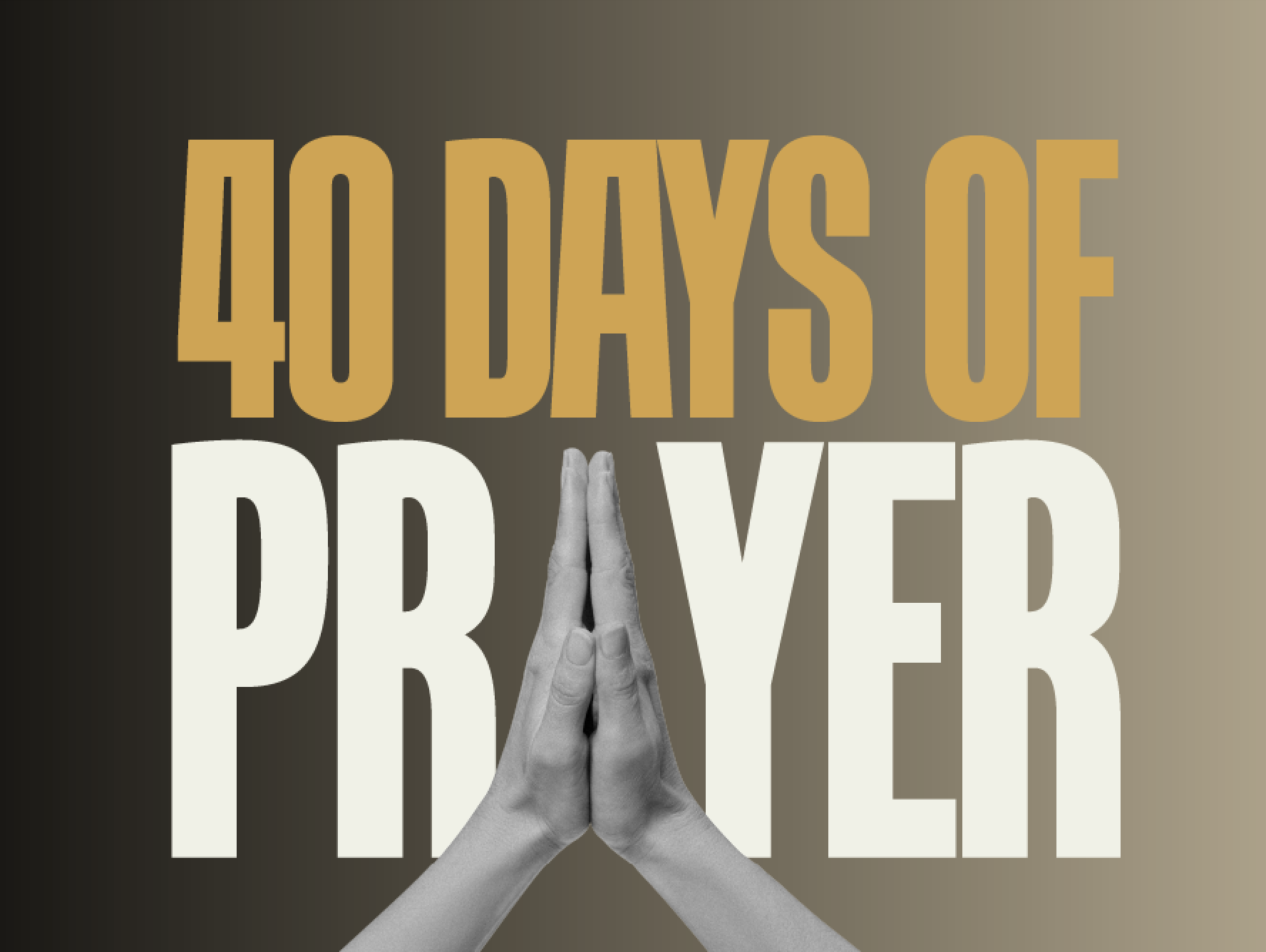 Screenshot 2026 02 05 at 1.23.28 PM